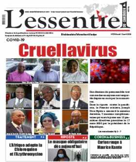 Cover L'Essentiel du Cameroun - 290 